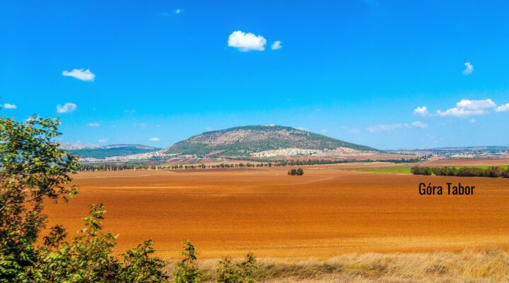 Ogłoszenia Duszpasterskie, Parafia Helena, informacje, Nowy Sącz
