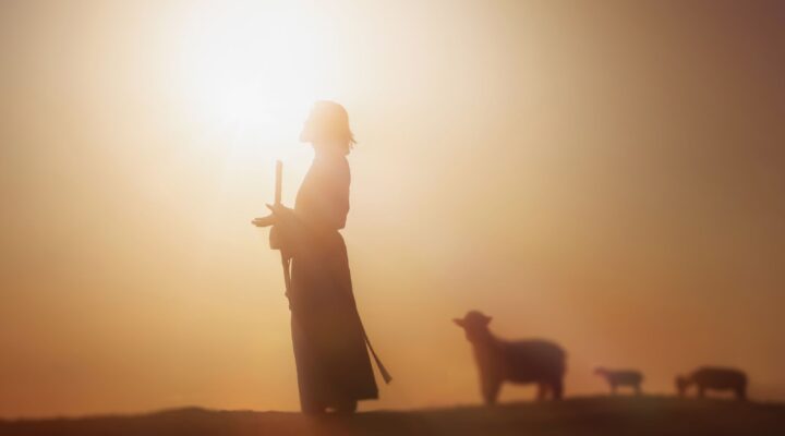 4. NIEDZIELA WIELKANOCY, NIEDZIELA DOBREGO PASTERZA, Ogłoszenia Duszpasterskie, Parafia Helena, informacje, Nowy Sącz