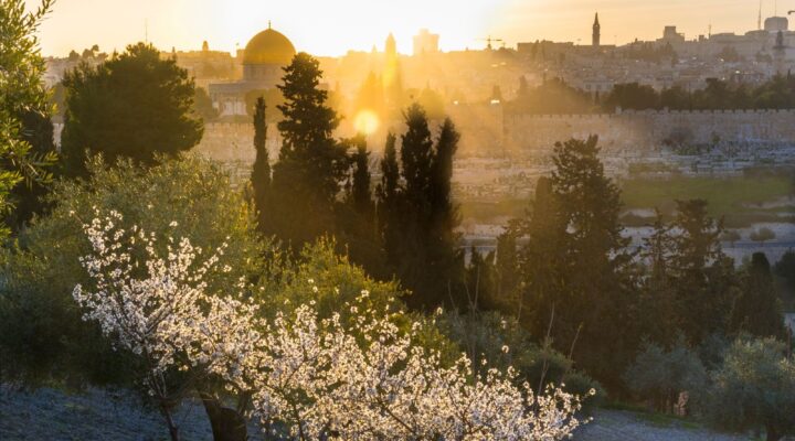 WNIEBOWSTĄPIENIE PAŃSKIE, Ogłoszenia Duszpasterskie, Parafia Helena, informacje, Nowy Sącz