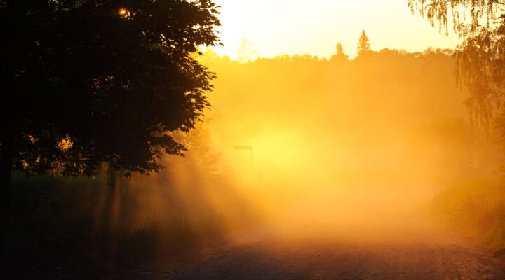 17. NIEDZIELA ZWYKŁA, Ogłoszenia Duszpasterskie, Parafia Helena, informacje, Nowy Sącz