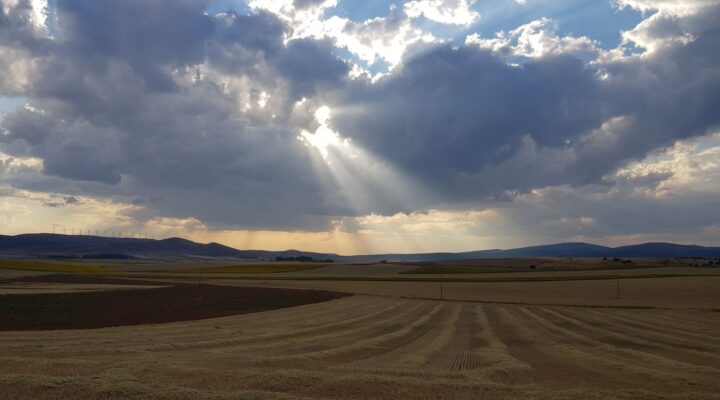 15. NIEDZIELA ZWYKŁA, Ogłoszenia Duszpasterskie, Parafia Helena, informacje, Nowy Sącz