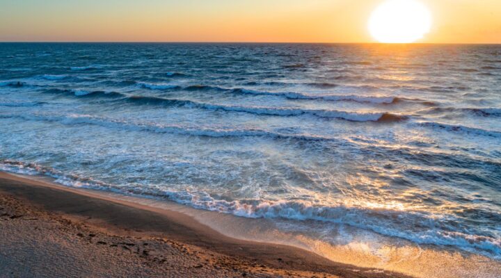 16. NIEDZIELA ZWYKŁA, Ogłoszenia Duszpasterskie, Parafia Helena, informacje, Nowy Sącz