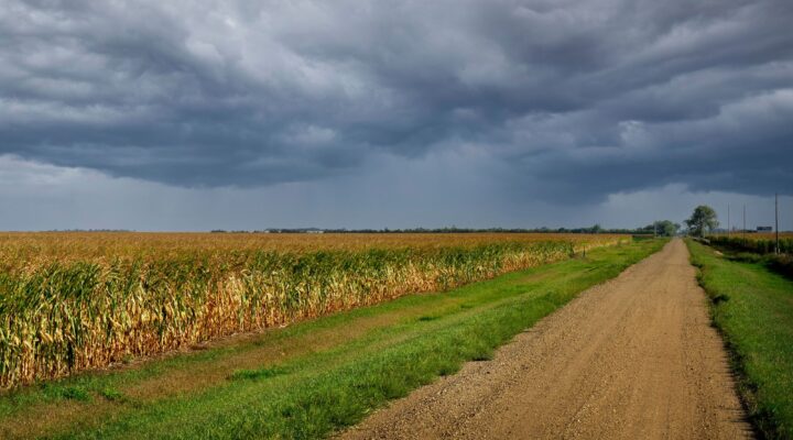 23. NIEDZIELA ZWYKŁA, Ogłoszenia Duszpasterskie, Parafia Helena, informacje, Nowy Sącz