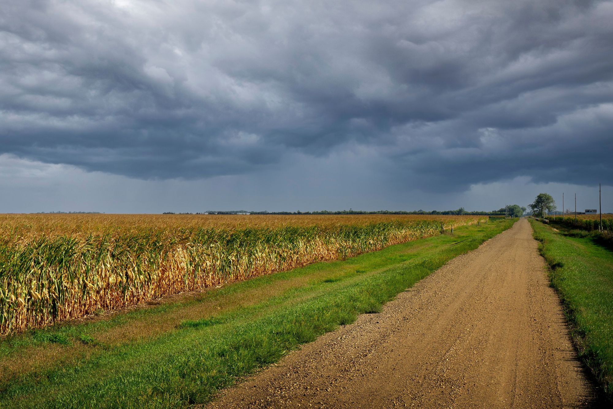 23. NIEDZIELA ZWYKŁA, Ogłoszenia Duszpasterskie, Parafia Helena, informacje, Nowy Sącz