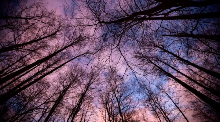 25. NIEDZIELA ZWYKŁA, Ogłoszenia Duszpasterskie, Parafia Helena, informacje, Nowy Sącz