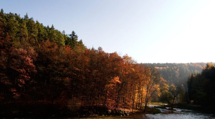 26. NIEDZIELA ZWYKŁA, Ogłoszenia Duszpasterskie, Parafia Helena, informacje, Nowy Sącz