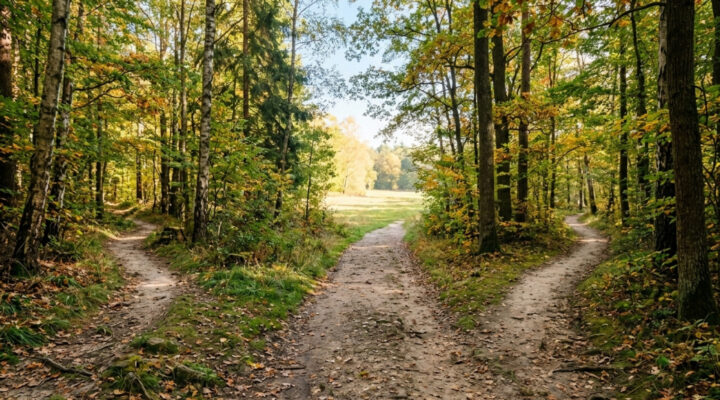 24 NIEDZIELA ZWYKŁA - 13.09.2026, Ogłoszenia Duszpasterskie, Parafia Helena, informacje, Nowy Sącz